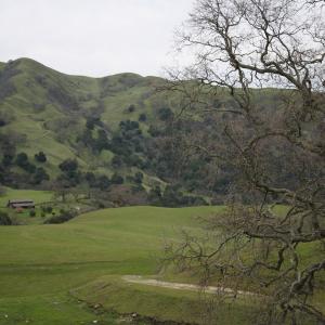 IMG 0998