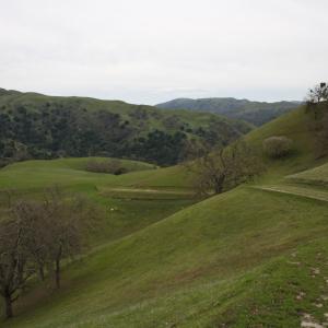 IMG 1009