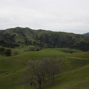 IMG 1011