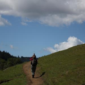 CanonXS-2009-03-08-MtTam-DeYoungMusemSF