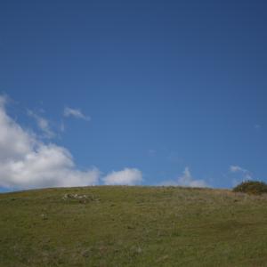 IMG 1168
