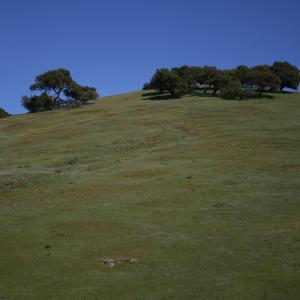 CanonXS-2009-04-04-PAcheStatePark