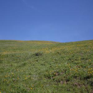 IMG 1740s
