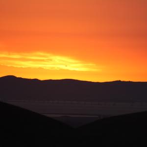 IMG 3945