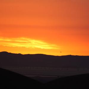 IMG 3953s
