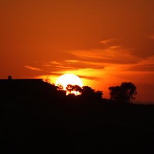 IMG 4333
