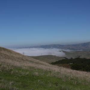 IMG 4704