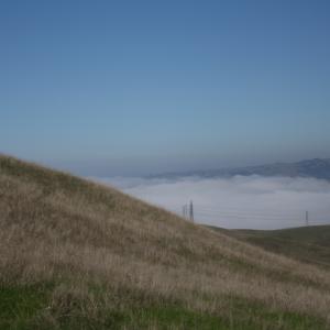 IMG 4710