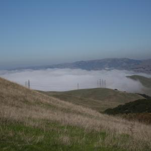 IMG 4712