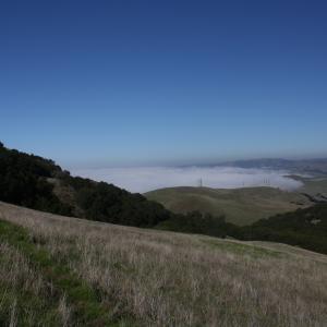 IMG 4718