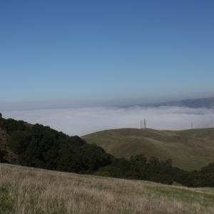 IMG 4719