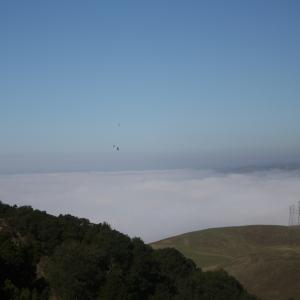 IMG 4747