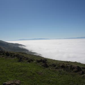 IMG 4822
