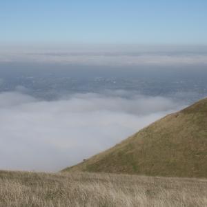 IMG 4849