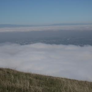 IMG 4854