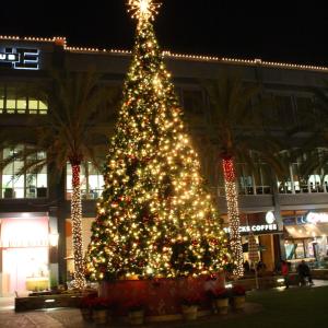 CanonXS-2009-12-04MoonXmasTree