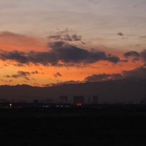 IMG 5664