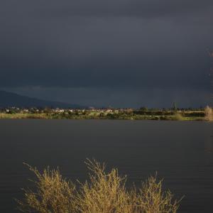 CanonXS-2010-03-24-QuaryLakeFremont
