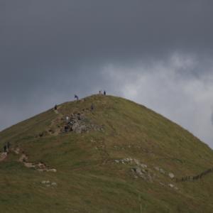 IMG 6591