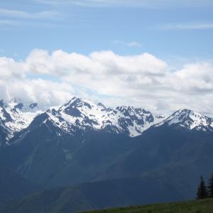 IMG 7191