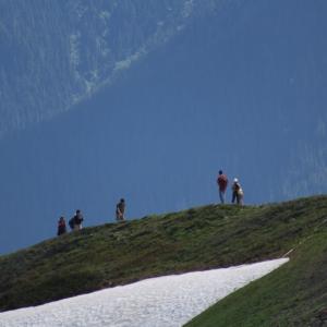 IMG 7326
