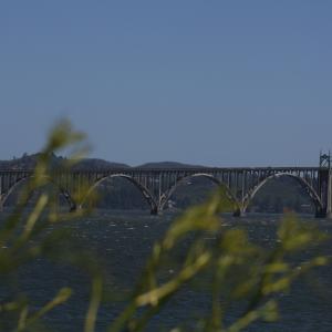 IMG 7486