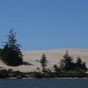 IMG 7489