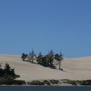 IMG 7490