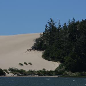 IMG 7494