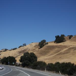 IMG 8040
