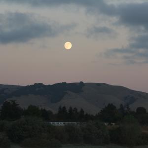 IMG 8168