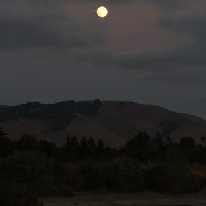 IMG 8253