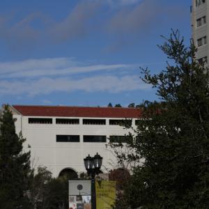 IMG 8881
