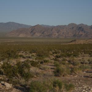 IMG 0096