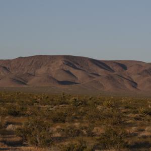 IMG 0186