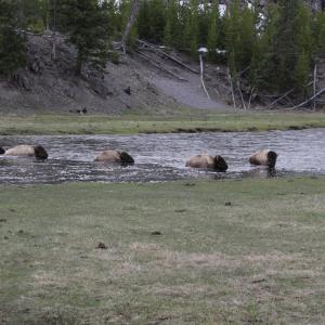 IMG 0411