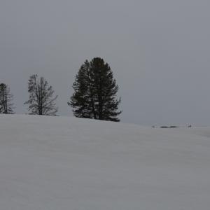 IMG 0510