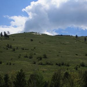 IMG 0641