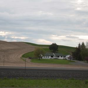 IMG 0725