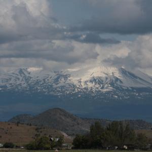 IMG 0783