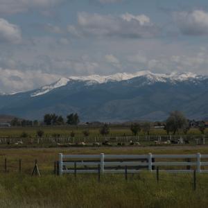 IMG 0799
