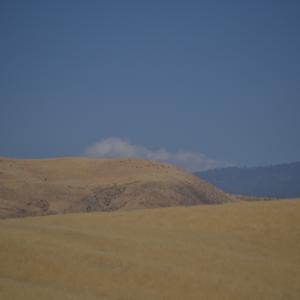 DSC 0037