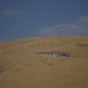 DSC 0043