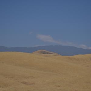 DSC 0048