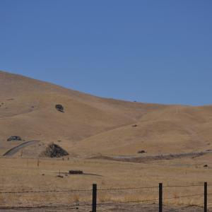 DSC 0144