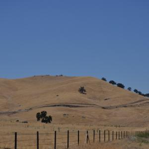 DSC 0145