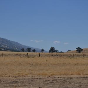 DSC 0146