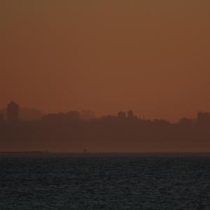 IMG 1355