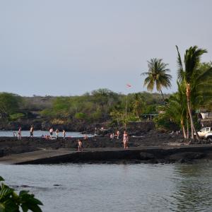DSC 0185