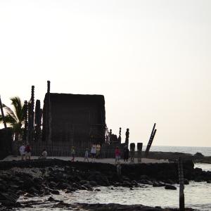 DSC 0195